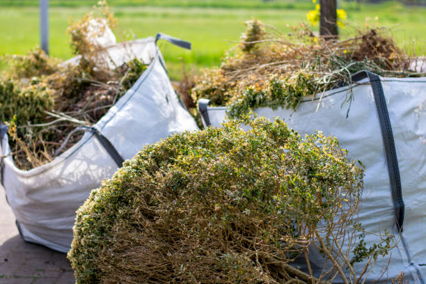 Recycling Services for Junk in Bridgeport, WA